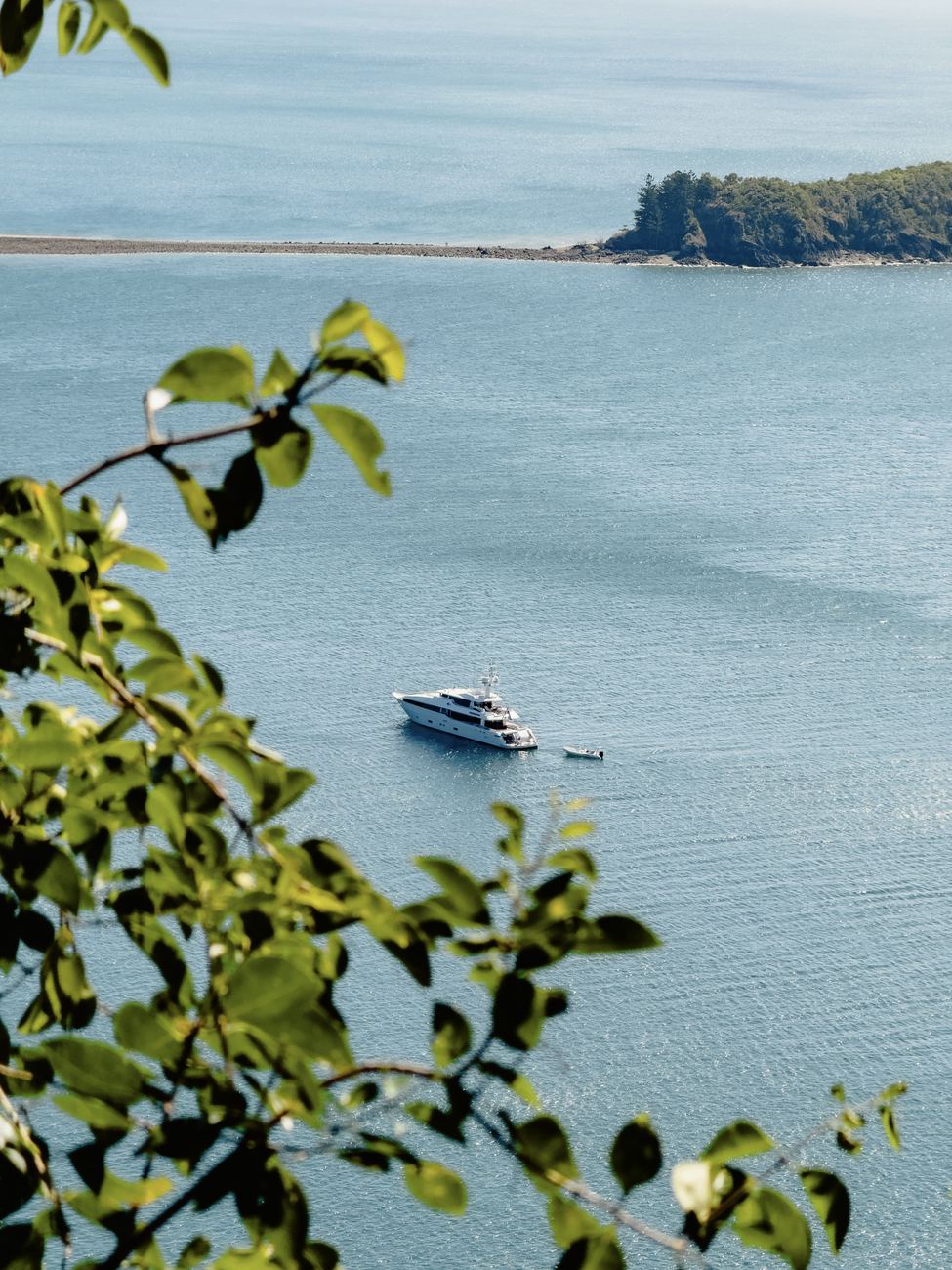 Masteka 2 at anchor from the lookout, framed by leaves