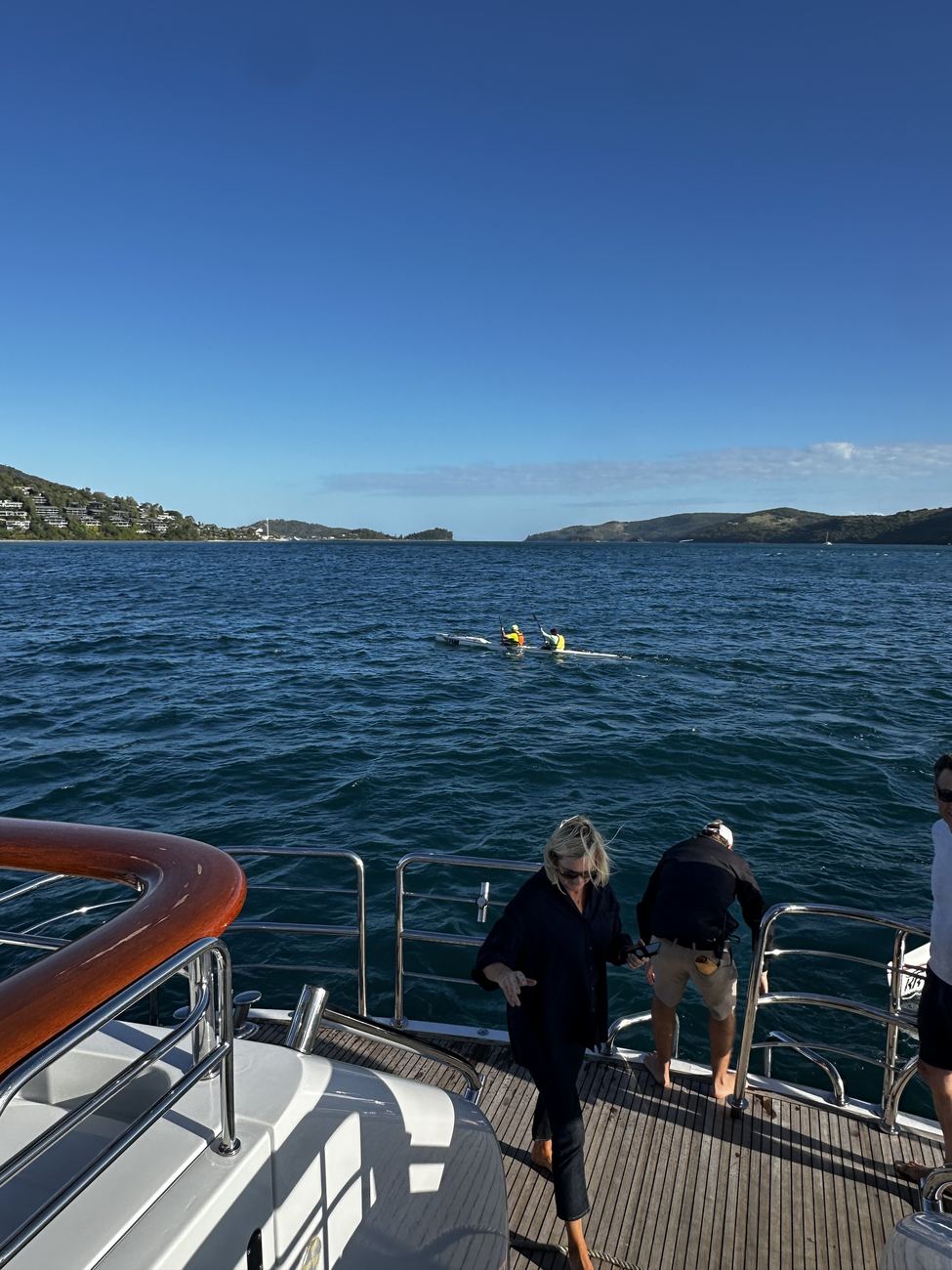 Guests at the rail watching paddlers and turtles in the water below