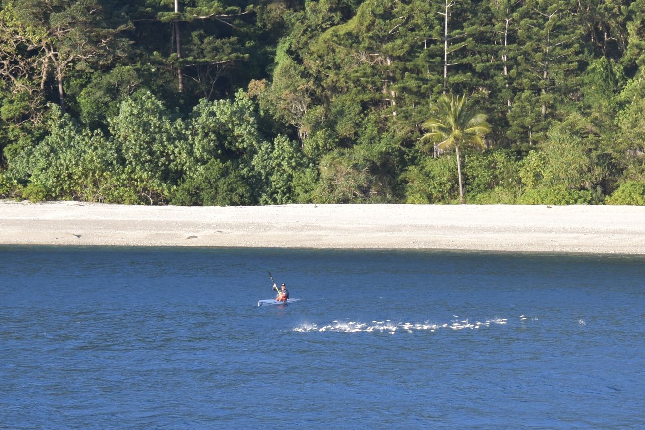 A swimmer near a white beach with a school of fish working the water
