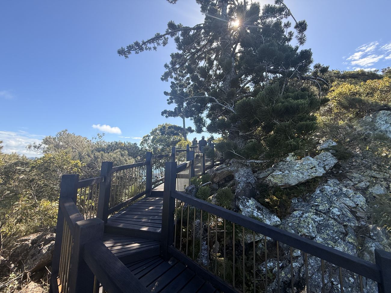 The steep boardwalk ladder climbing the rocky summit