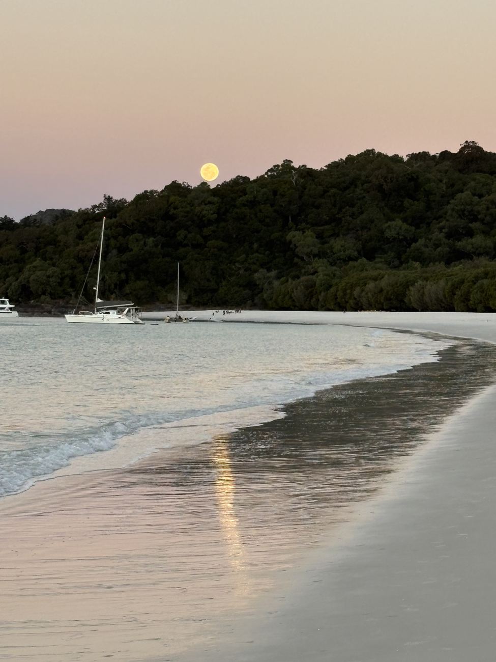 The full moon rising over the treeline at Whitehaven Beach