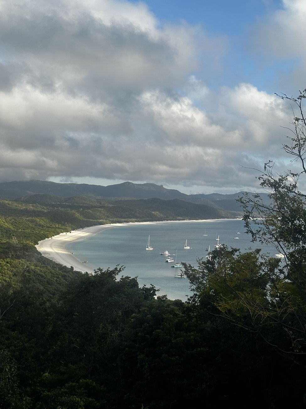 Whitehaven Beach curving away below the Hill Inlet lookout