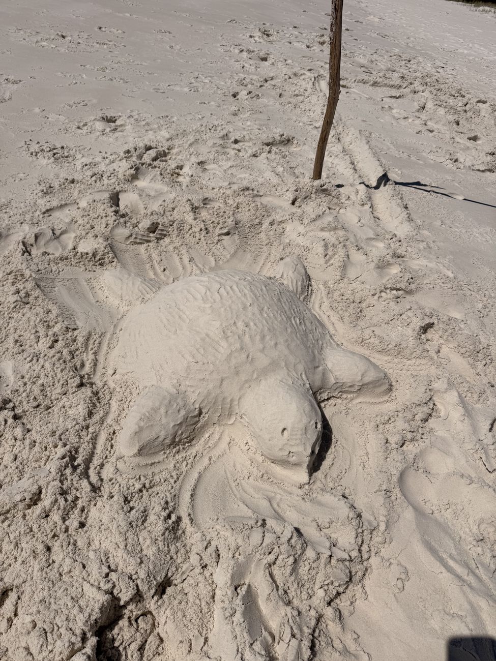A turtle sculpted in the white sand