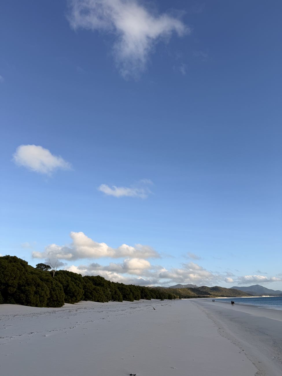 Whitehaven beach under morning sky