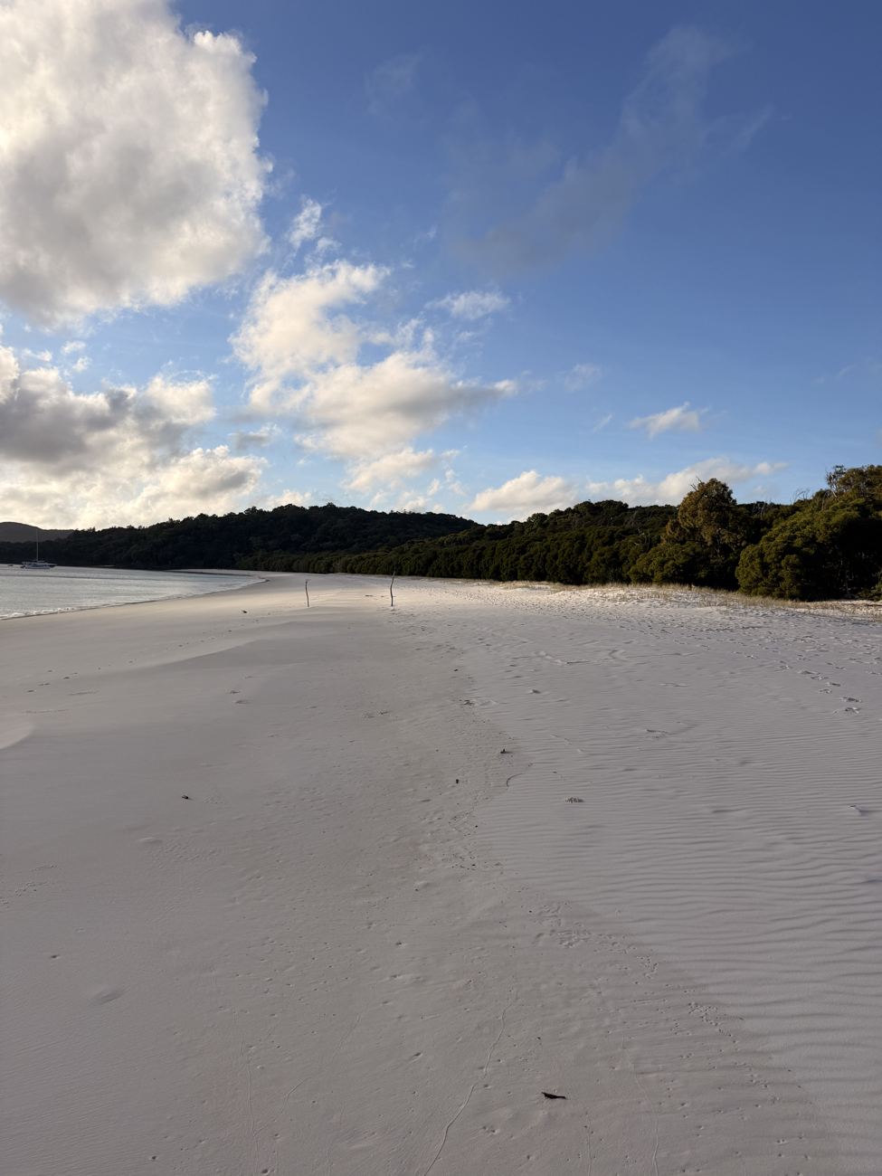The dunes at Whitehaven in morning light